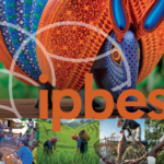 Kansainvälisen luontopaneeli IPBES:n Values Assessment -raportin kansikuvitus